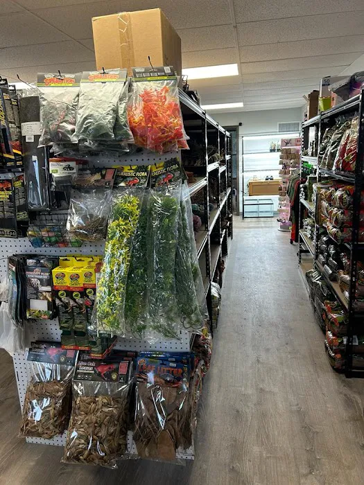 The Reptile Depot Picture 2