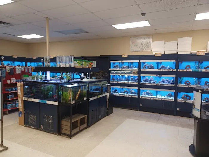 Petco Picture 2