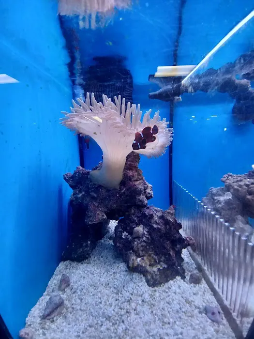 Petco Picture 10