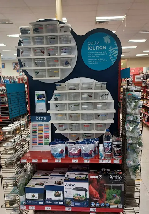 Petco Picture 7