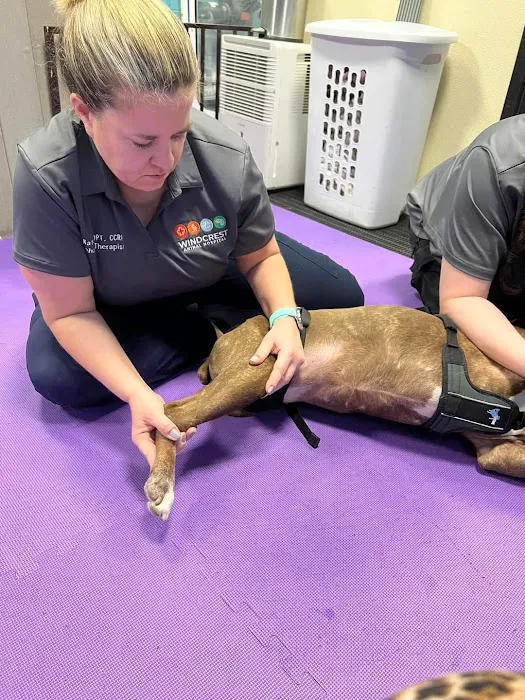 Windcrest Animal Hospital: Dejager Lorraine DVM Picture 5
