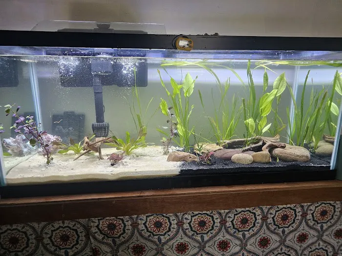 Elite Menagerie Habitats Picture 3