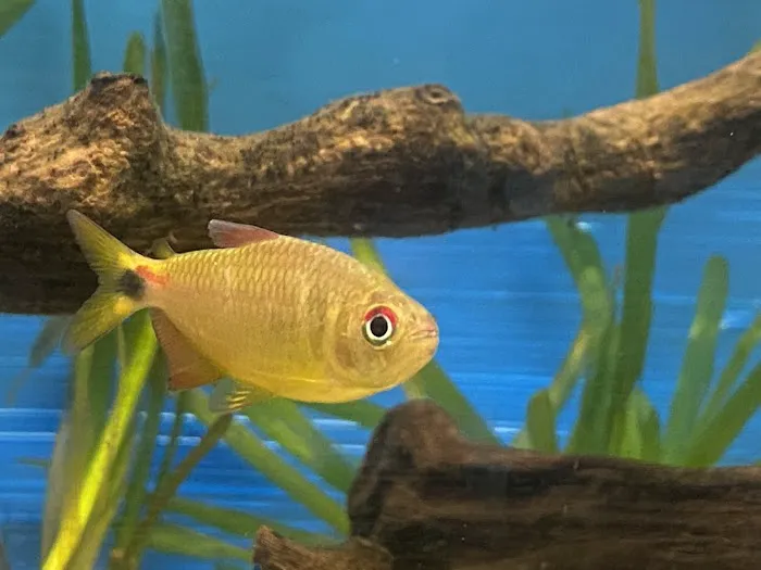 Elite Menagerie Habitats Picture 9
