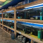 The Waters Edge Aquarium