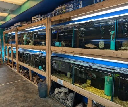 The Waters Edge Aquarium