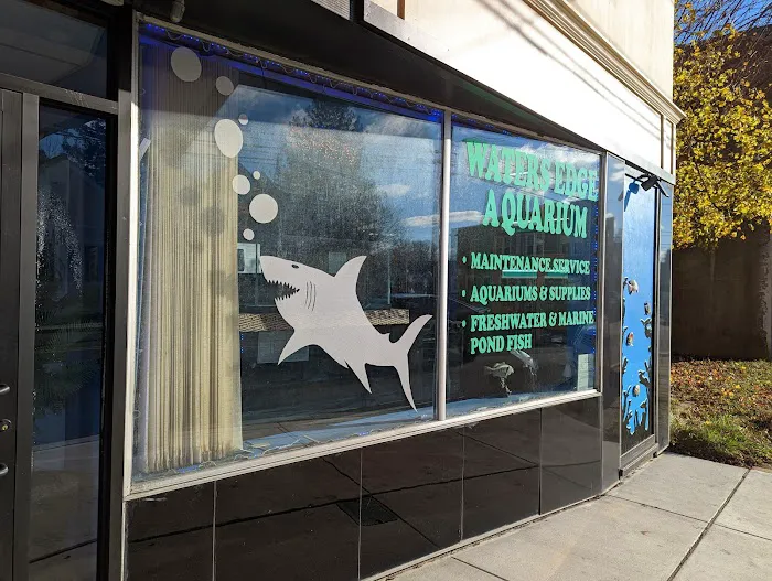 The Waters Edge Aquarium Picture 2