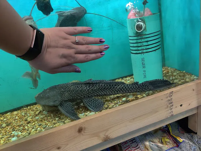 The Waters Edge Aquarium Picture 5
