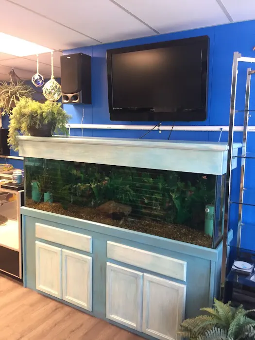 The Waters Edge Aquarium Picture 3