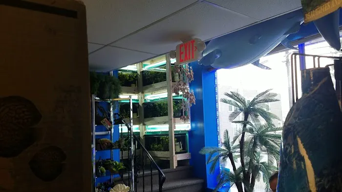 The Waters Edge Aquarium Picture 4