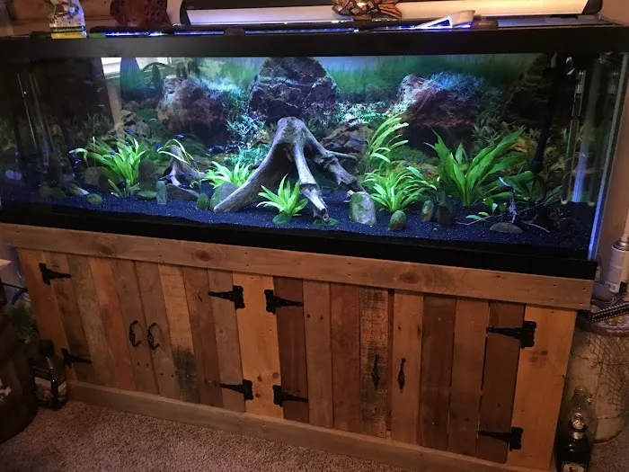 The Waters Edge Aquarium Picture 6
