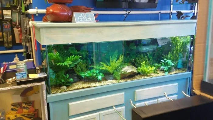 The Waters Edge Aquarium Picture 9