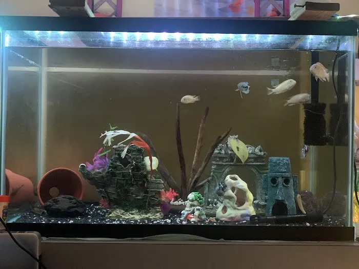 Aaron’s Aquatic's Picture 2
