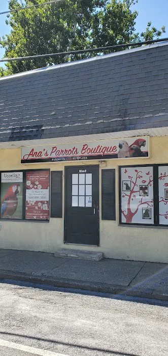 Ana's Parrots Boutique Picture 1