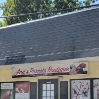 Ana's Parrots Boutique ico