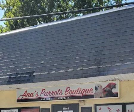 Ana's Parrots Boutique