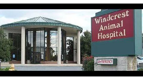 Windcrest Animal Hospital Picture 2
