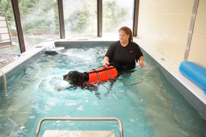 Windcrest Animal Hospital Picture 4