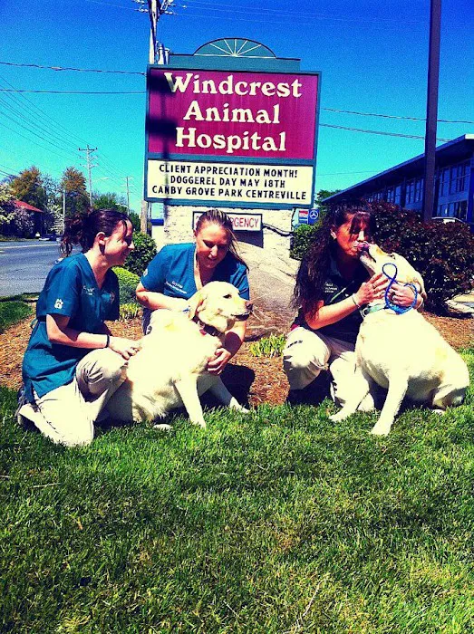 Windcrest Animal Hospital Picture 9