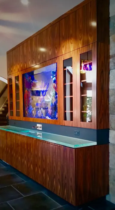 Aquarium Design Studios Picture 2