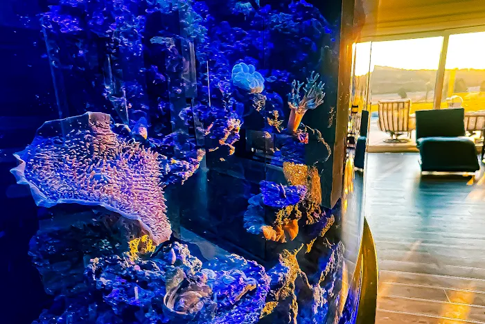 Aquarium Design Studios Picture 1