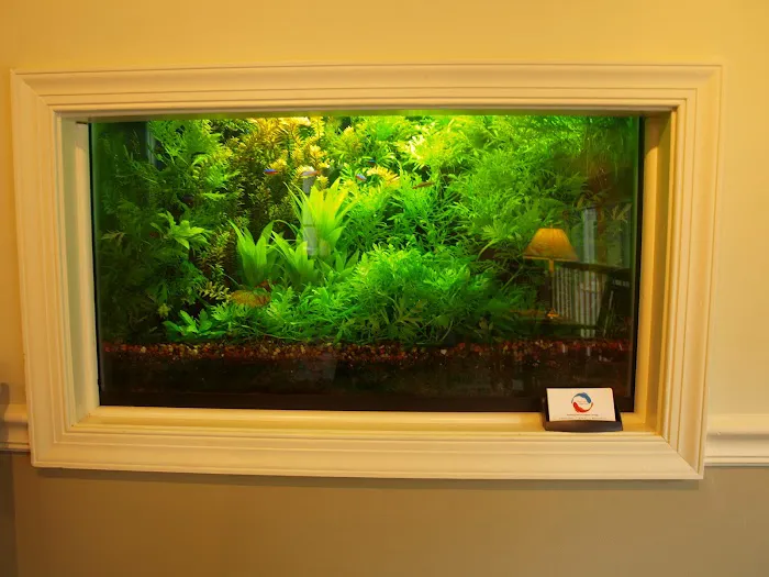 Aquarium Design Studios Picture 4