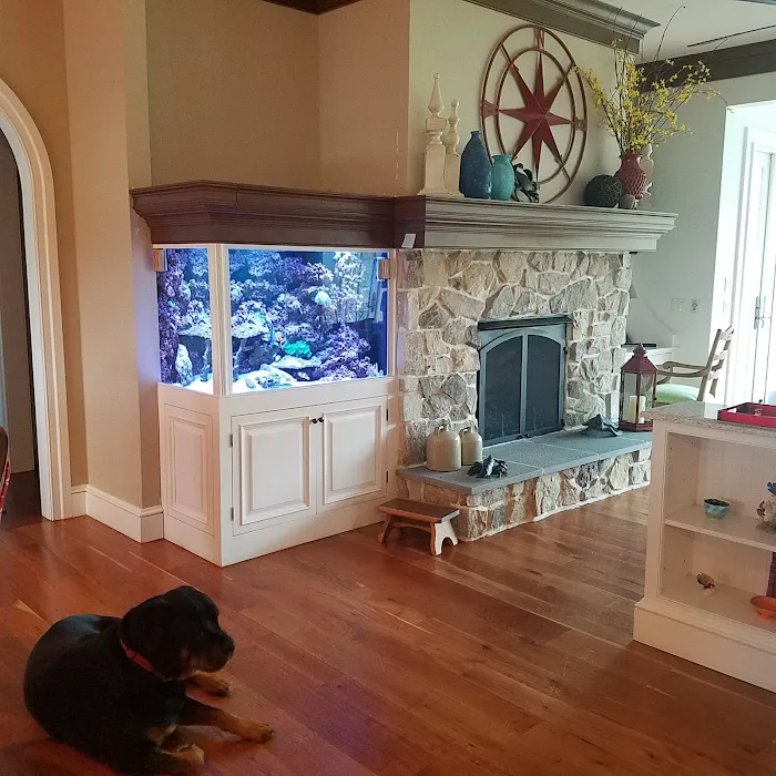Aquarium Design Studios Picture 3