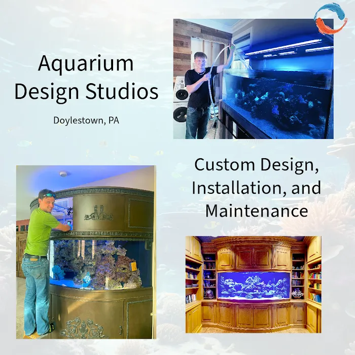 Aquarium Design Studios Picture 6