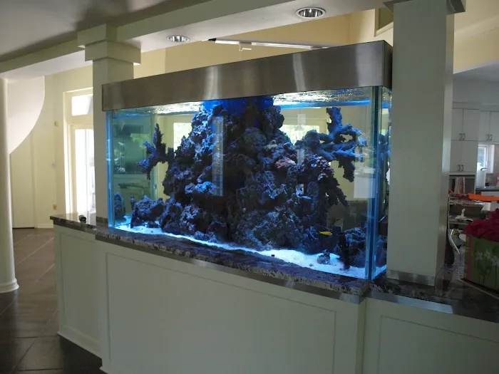 Aquarium Design Studios Picture 7