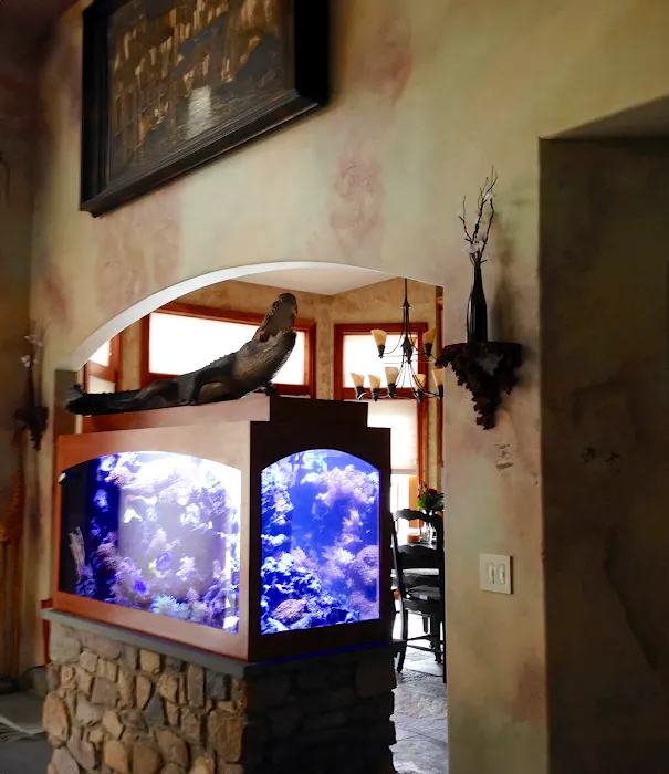 Aquarium Design Studios Picture 5