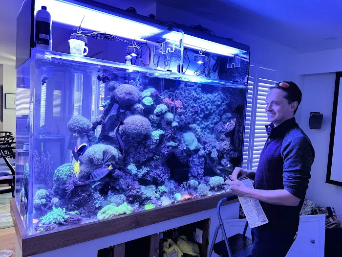 Aquarium Design Studios Picture 9