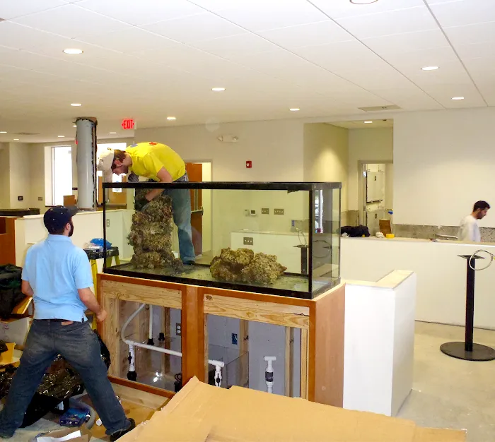 Aquarium Design Studios Picture 10