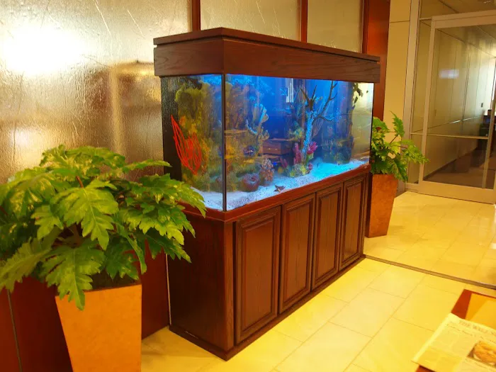 Aquarium Design Studios Picture 8