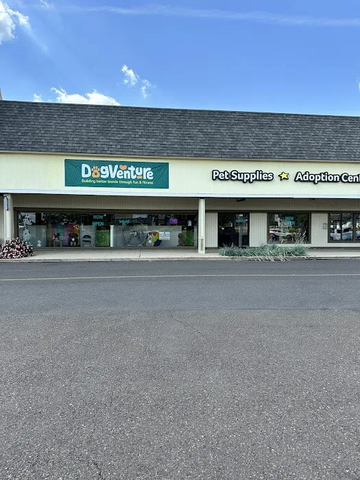 DogVenture- New Britain Picture 3