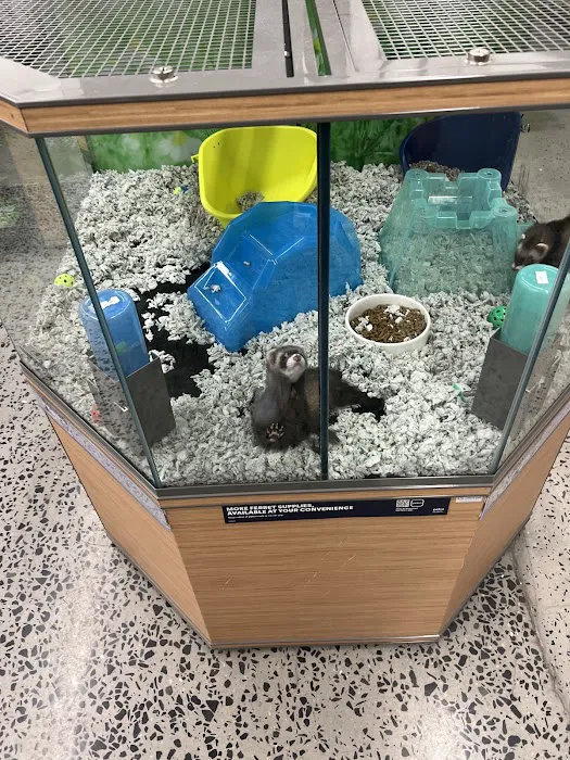 Petco Picture 3