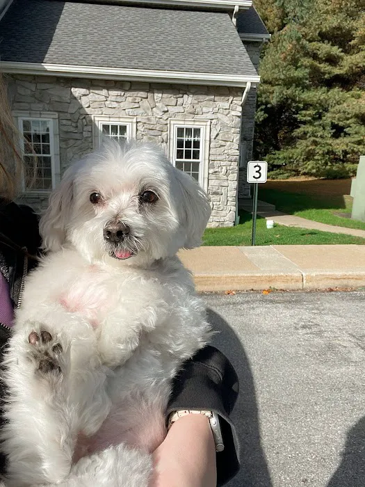 West Chester Animal Hospital Picture 3