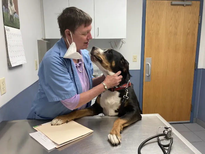 West Chester Animal Hospital Picture 9