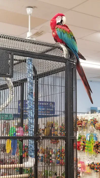 Fins, Feathers, Paws & Claws Picture 1