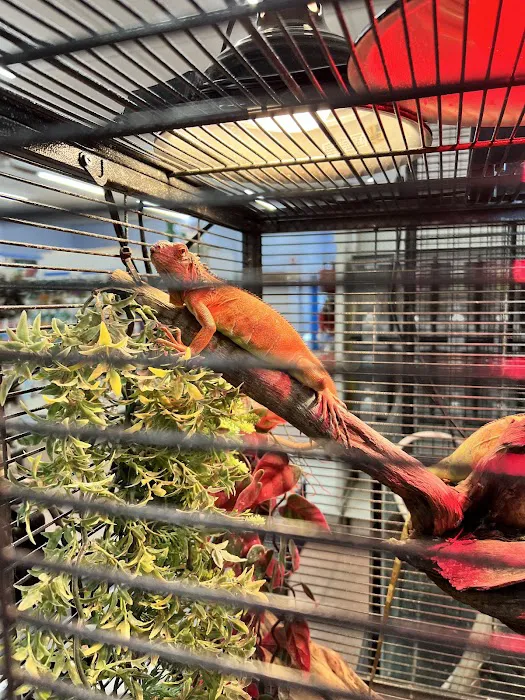 Fins, Feathers, Paws & Claws Picture 7
