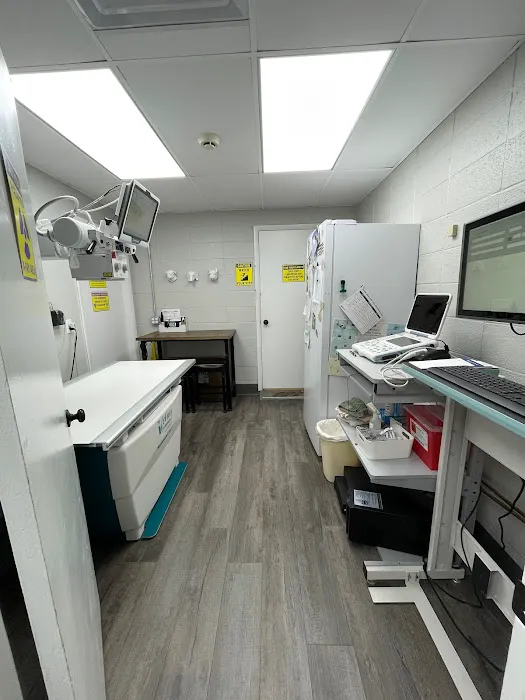 Animal Hospital of Chester County Picture 4