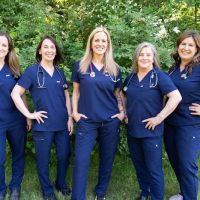 Animal Hospital of Chester County ico