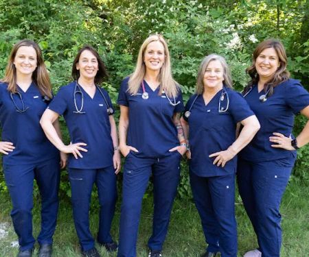 Animal Hospital of Chester County