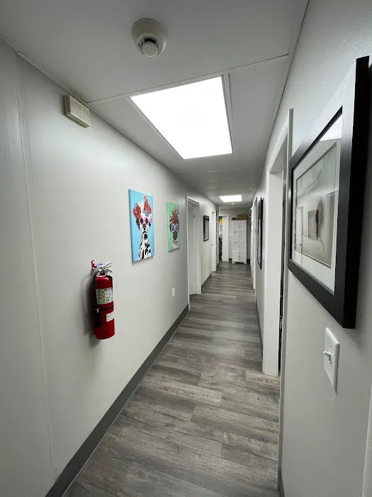 Animal Hospital of Chester County Picture 2