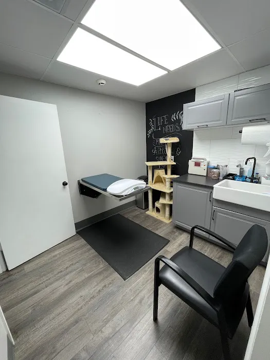 Animal Hospital of Chester County Picture 5