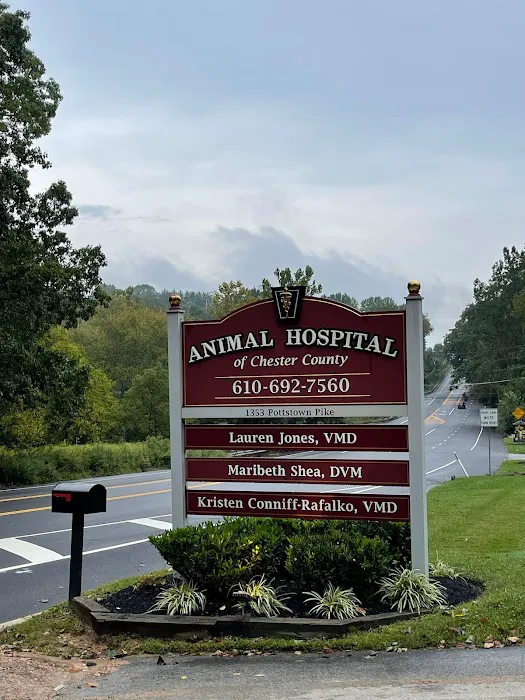 Animal Hospital of Chester County Picture 8