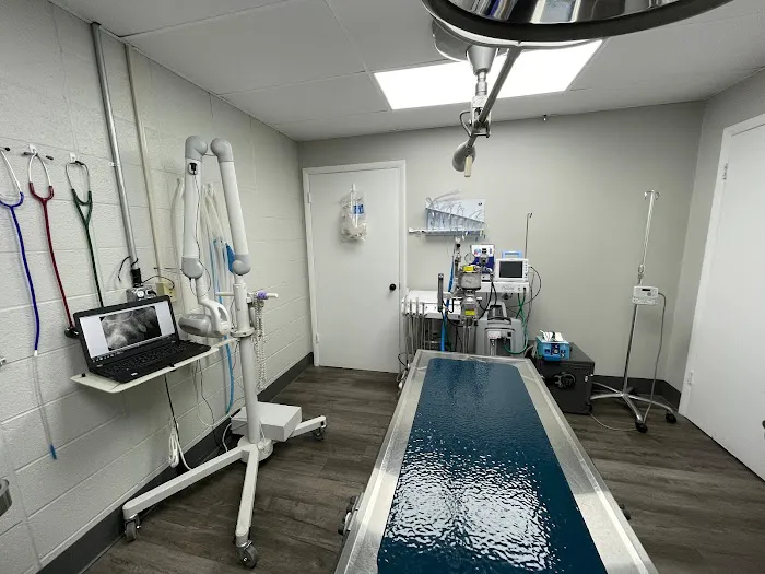 Animal Hospital of Chester County Picture 10