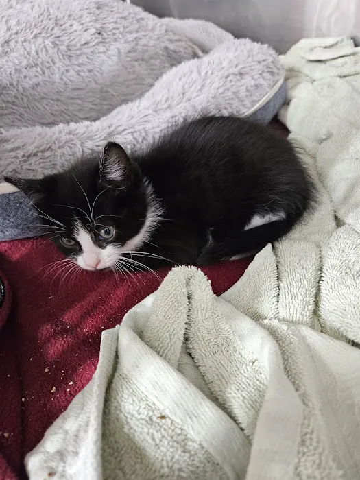 Pets Plus - Quakertown Picture 1