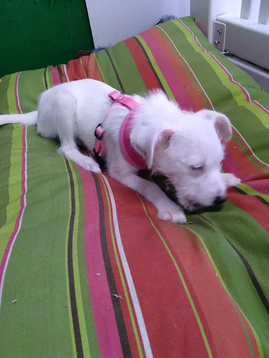 Pets Plus - Quakertown Picture 5