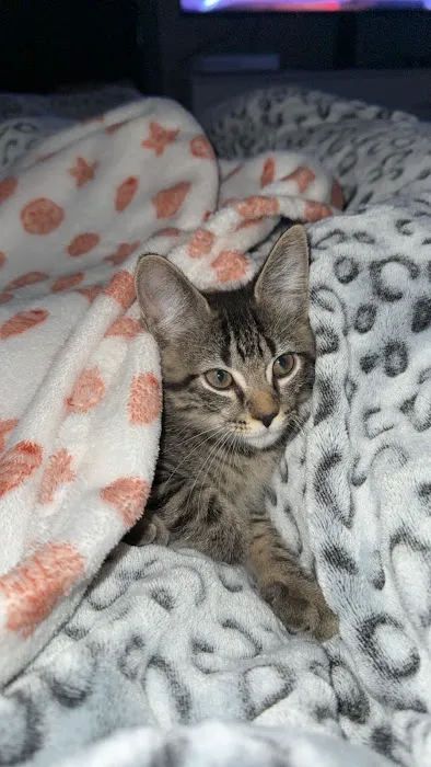Pets Plus - Quakertown Picture 8