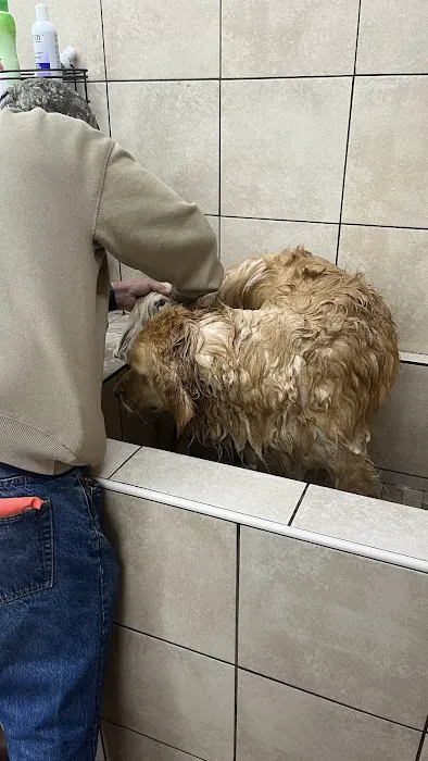 Pets Plus - Quakertown Picture 10