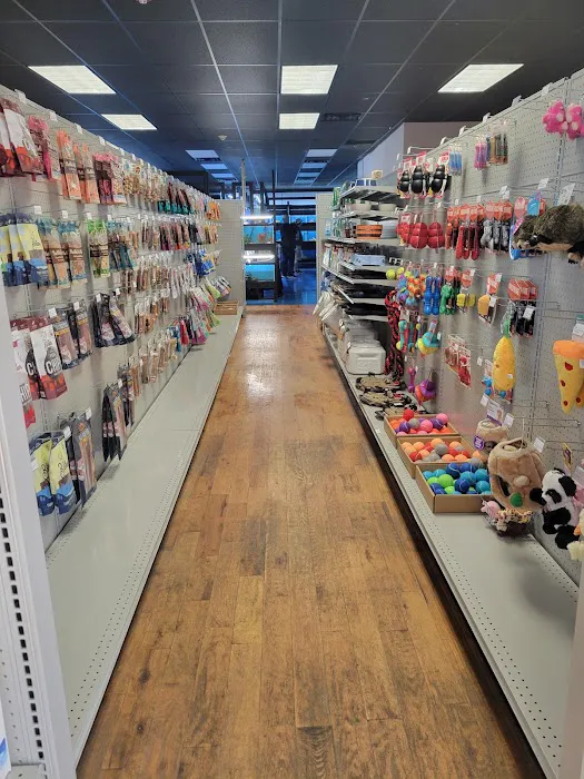 More Than Fish Aquarium and Pets Picture 5